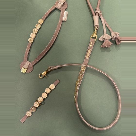 Collar y correa en rosa nude con apliques dorados