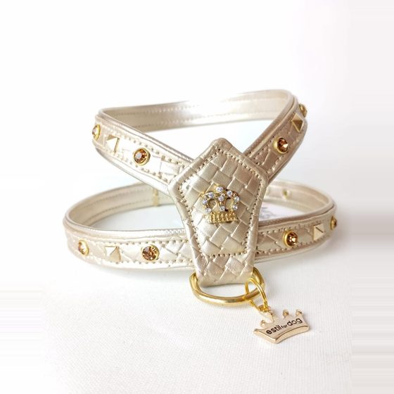 Arnés dorado con colgante en forma de corona