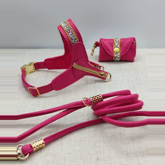 Arnés fucsia con lazo dorado, correa y porta-bolsas