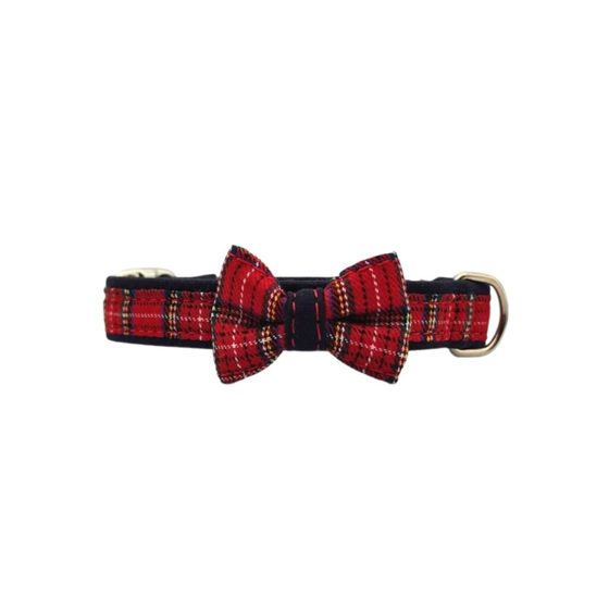 Collar de piel