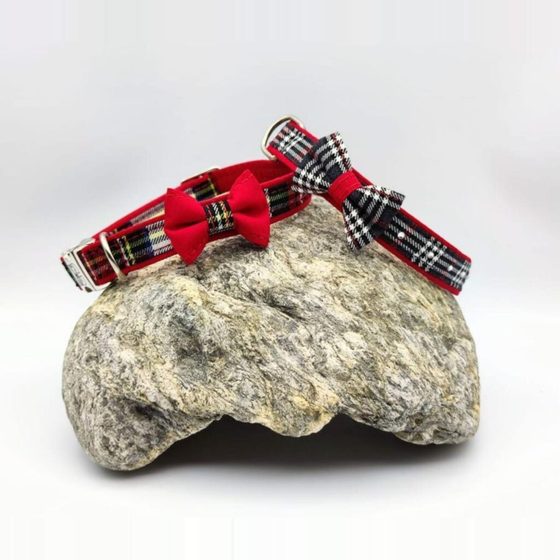 Collar de piel