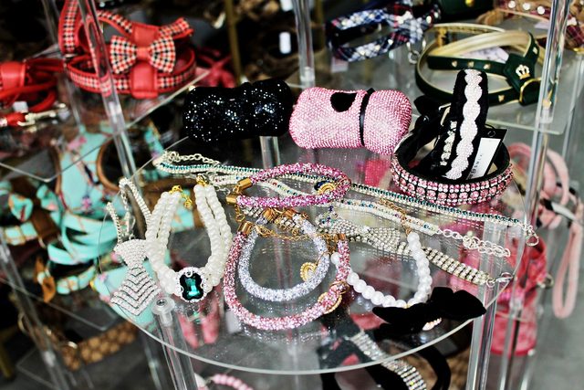 Bandeja de cristal con collares de pedrería, perlas y complementos de joyería para perro