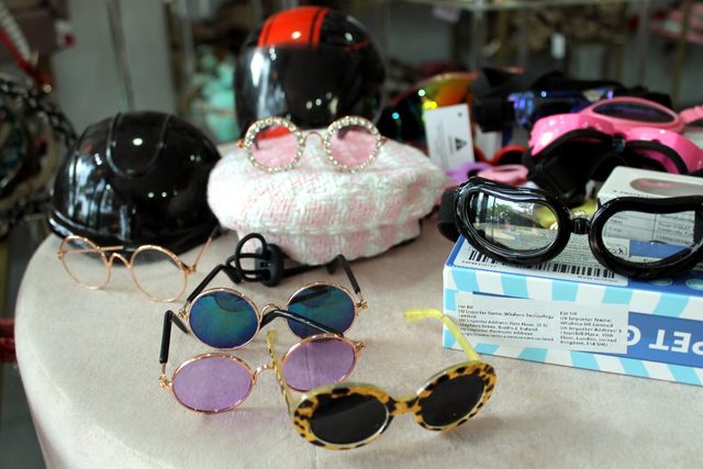 Expositor con gafas de sol y gafas protectoras para perro sobre la mesa de la boutique