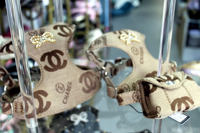 Arneses con estampado de marca colgados en el expositor de la boutique
