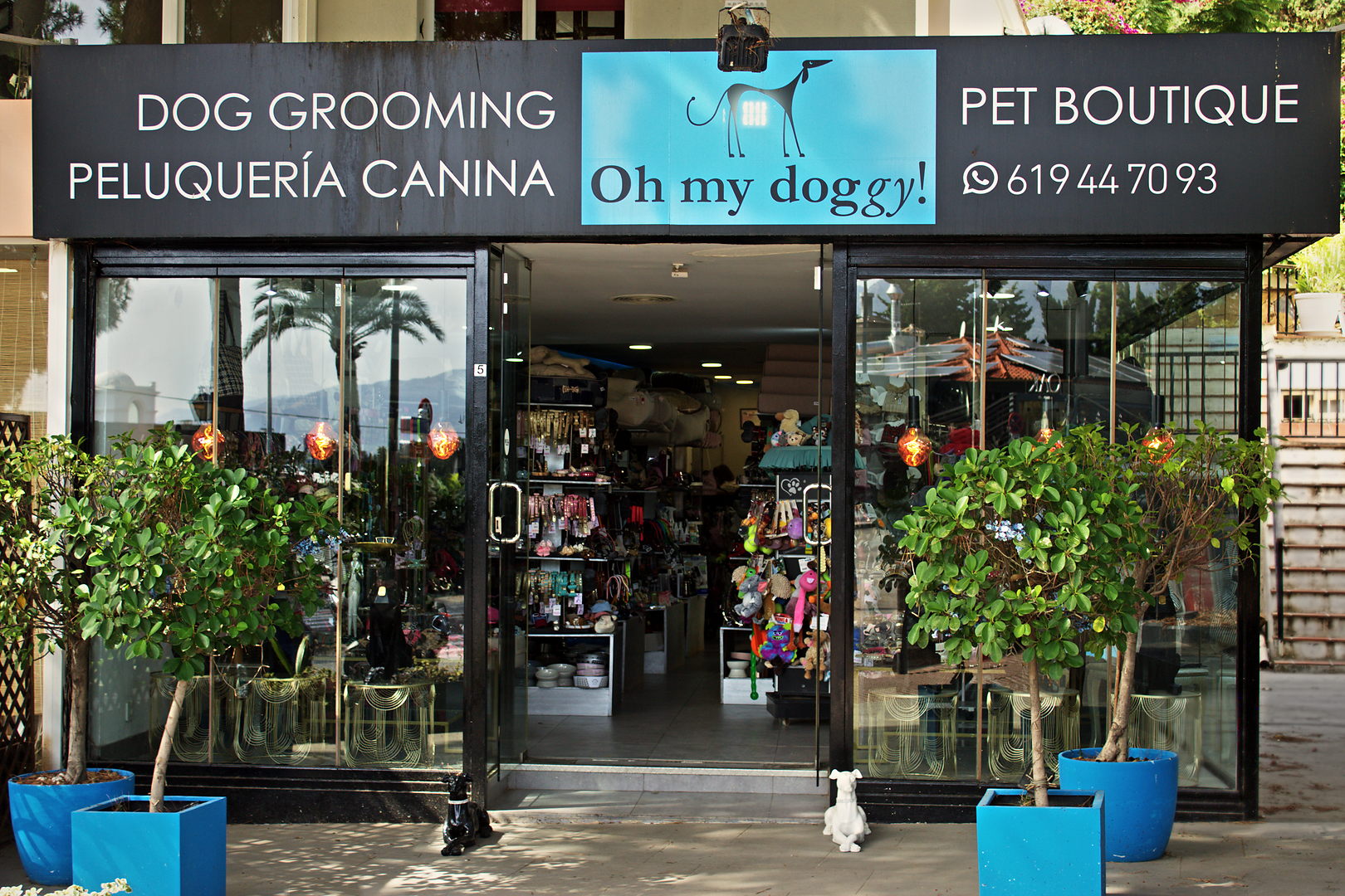 Fachada de Oh my doggy en Nueva Andalucía, con el rótulo de Dog Grooming · Peluquería Canina · Pet Boutique, el escaparate a la calle y los dos arbolitos en macetas azules de la entrada