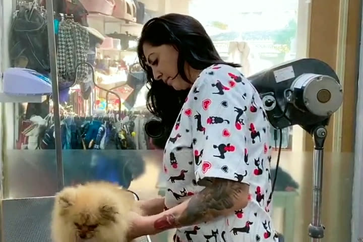 Verónica secando a un pomerania en la mesa de peluquería del salón