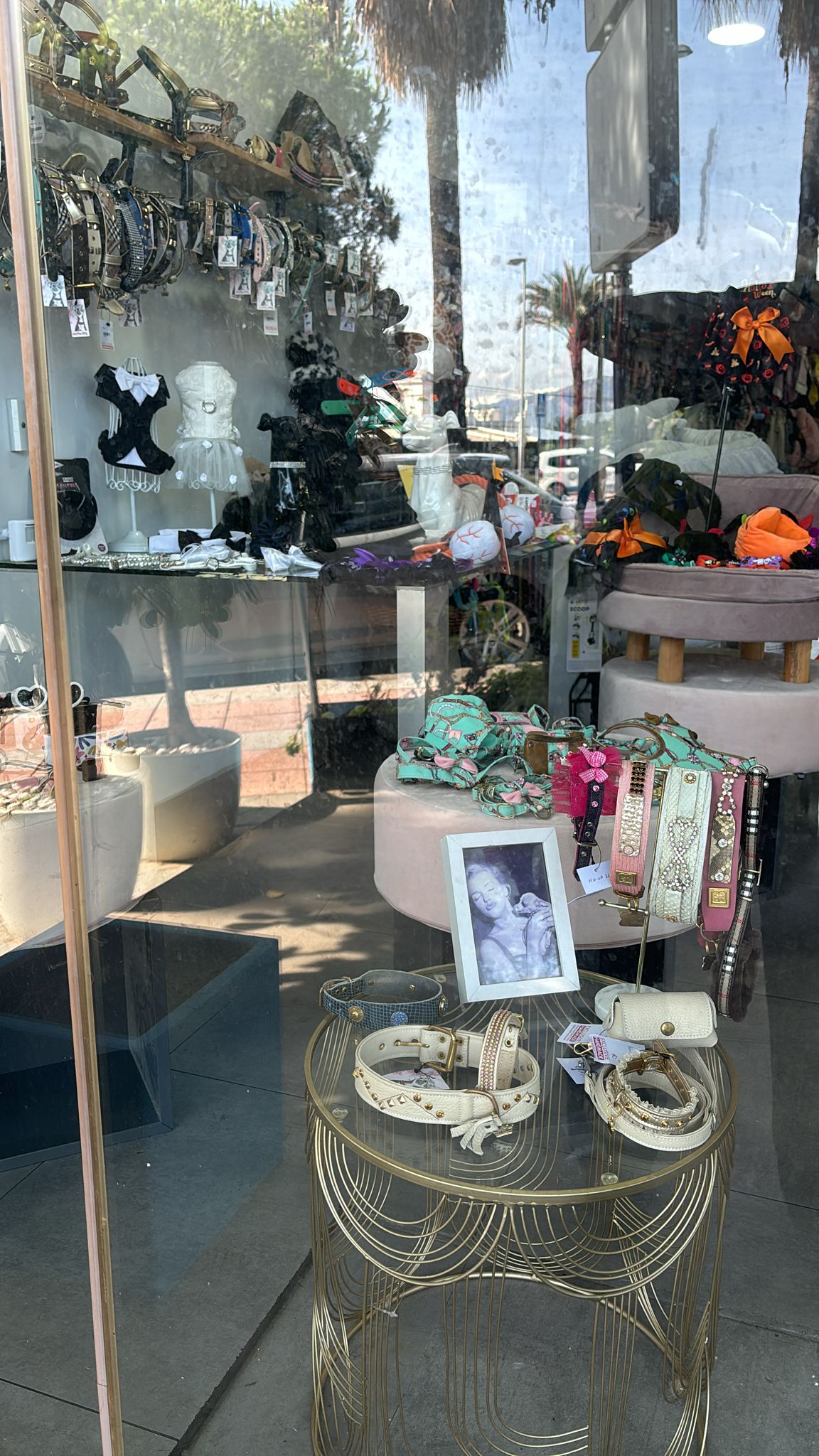 Oh my doggy gallery 03